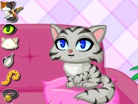 Игра Для девочек уход за котятами Игра Для девочек уход за котятами